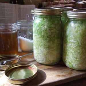 How to Ferment Sauerkraut in a Large Batch Image